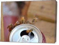 Bee's In Flight - Gallery Wrap