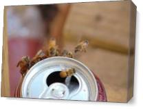 Bee's In Flight - Gallery Wrap Plus