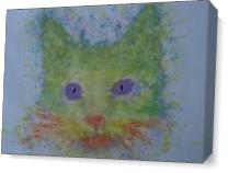 Rainbow Tomcat As Canvas