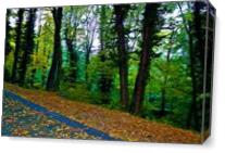 Autumn Path As Canvas