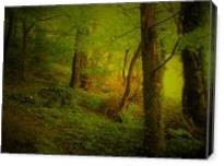 Enchanted Forest - Gallery Wrap