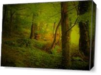 Enchanted Forest As Canvas