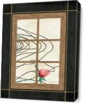 Window Rose