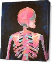 Skeleton