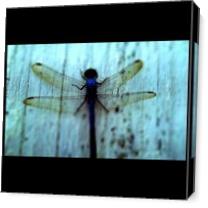 Blue Dragonfly