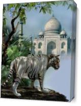 White Tiger Guardien Of The Taj Mahal