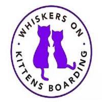 Whiskers on Kittens  Boarding